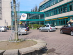Abizulassung 15.4.2005 - Autokorso an unserer Schule. Im Vordergrund die Schuleiche.