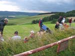 img_1010